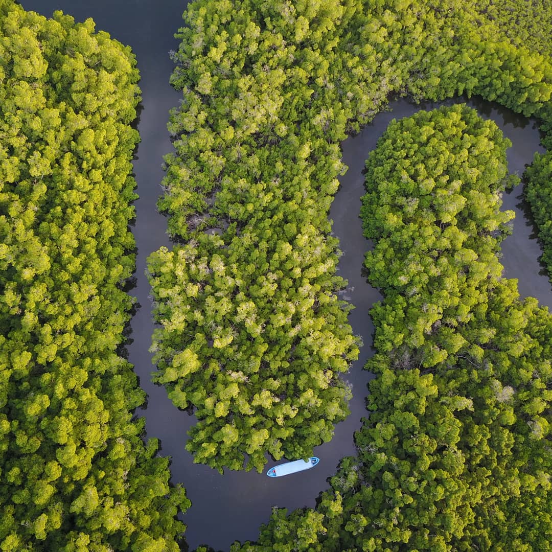 Découverte Saloum